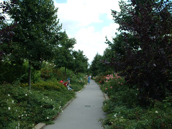 DSCF0022