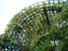 DSCF0043