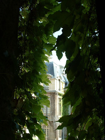 DSCF0009